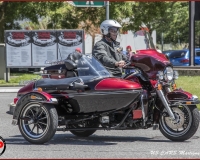 TSR Watermark - 0602